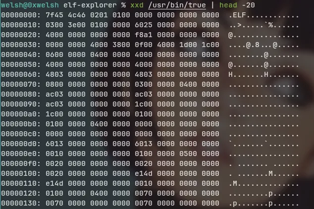 hexdump of /usr/bin/true