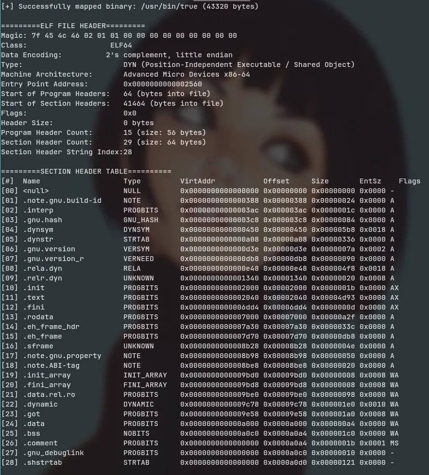 elf-explorer output