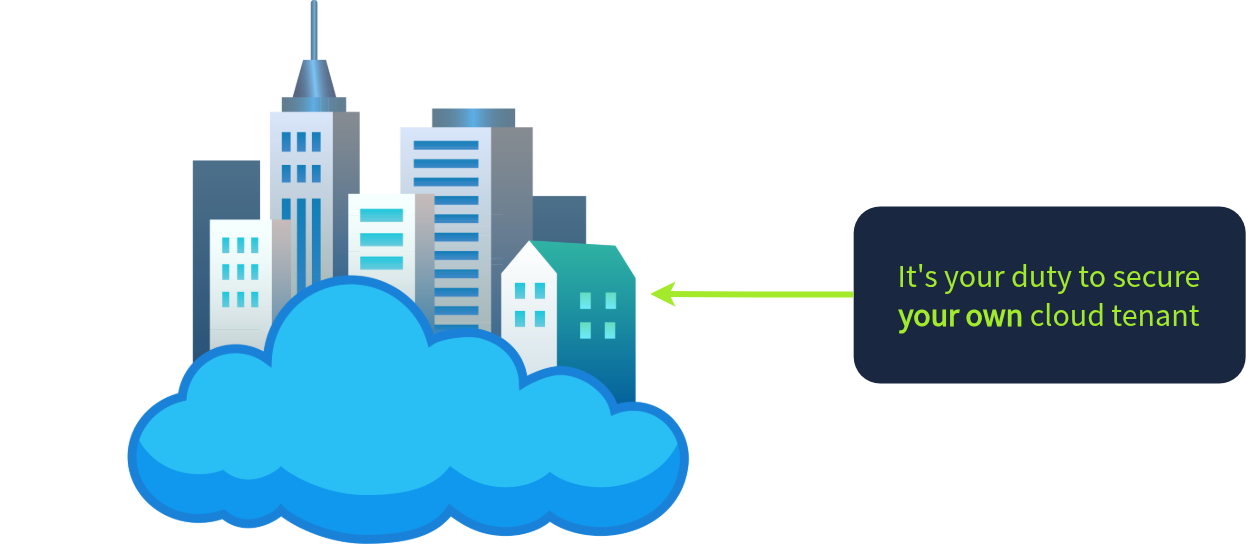 Security in the cloud