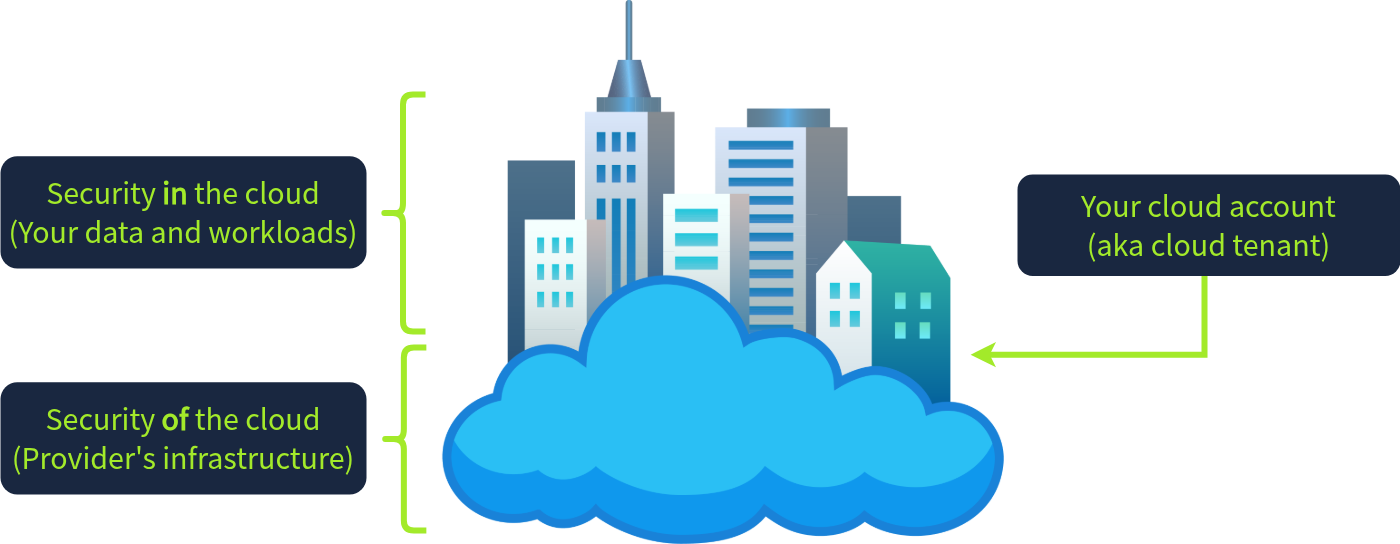 Security of the cloud